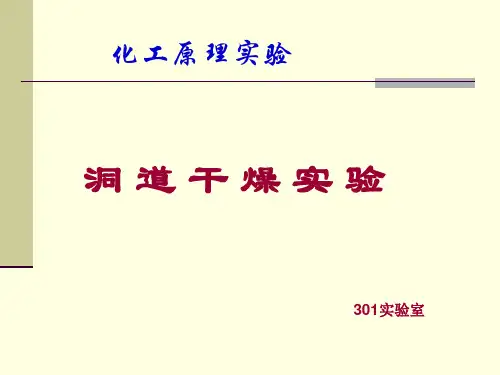 洞道干燥实验