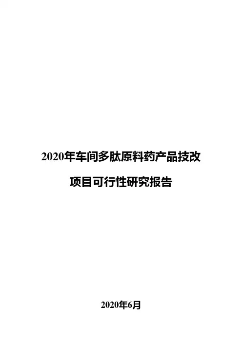 2020年车间多肽原料药产品技改项目可行性研究报告
