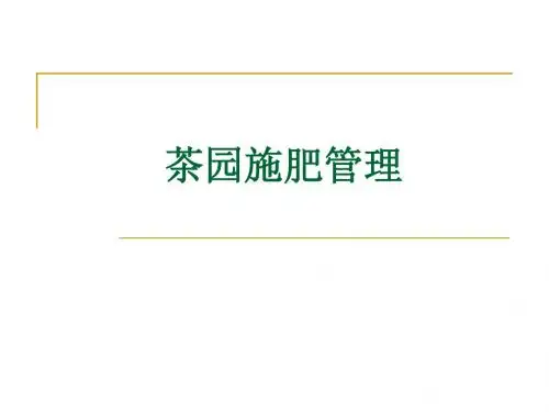 茶园施肥管理