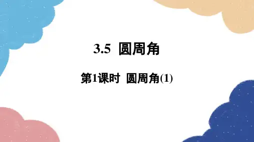 3.5 圆周角第1课时 圆周角(1) 浙教版数学九年级上册课件