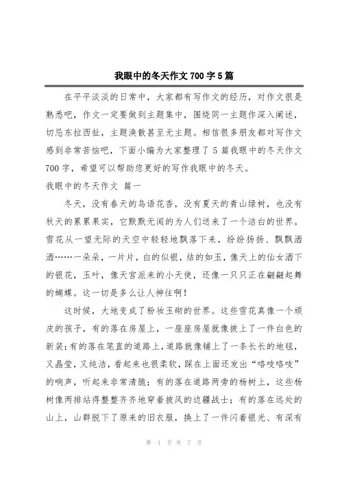 我眼中的冬天作文700字5篇