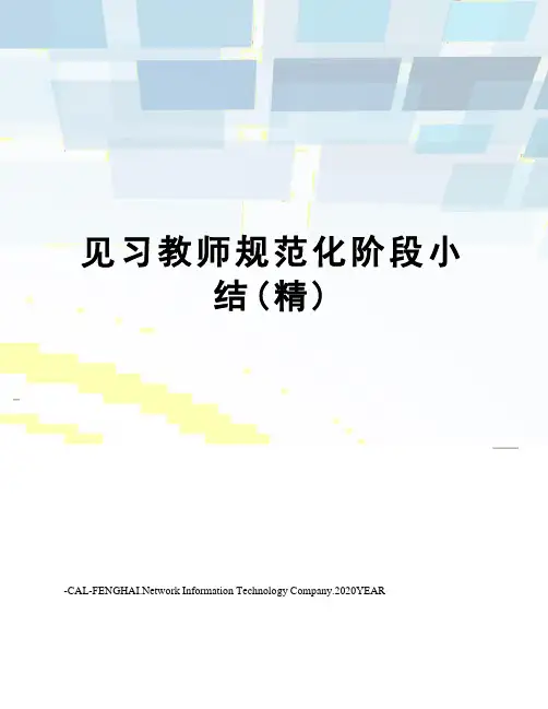 见习教师规范化阶段小结(精)