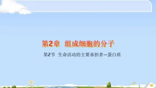 人教版必修1 生物：2.2 生命活动的主要承担者——蛋白质  课件(共32张PPT)