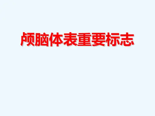 颅脑体表标志及脑出血穿刺定位方法