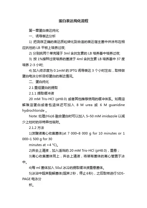 蛋白表达纯化流程