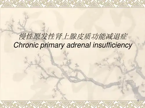 慢性原发性肾上腺皮质功能减退症