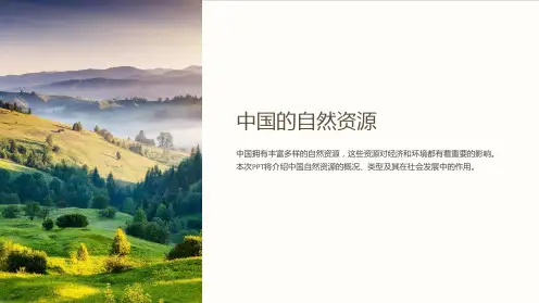 《中国的自然资源》课件
