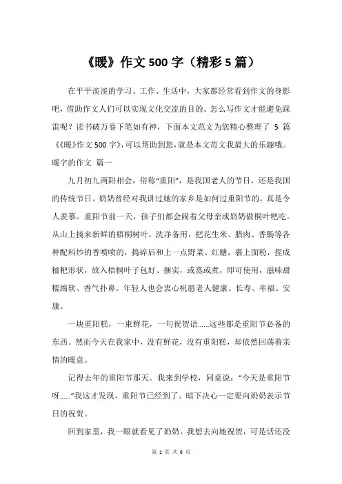 《暖》作文500字(精彩5篇)
