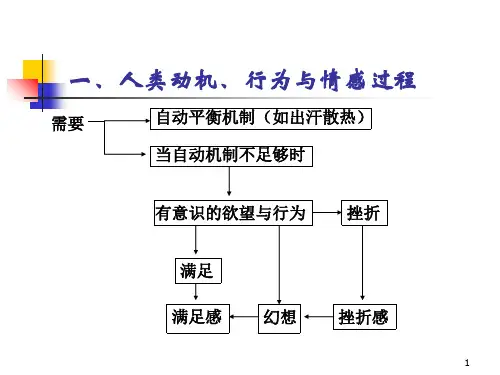 第八讲挫折与压力应对
