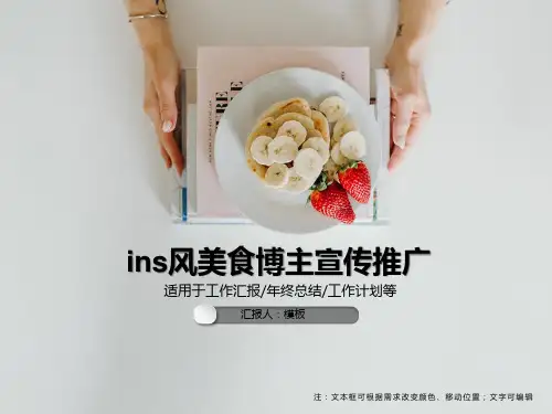 ins风美食博主宣传推广PPT模板
