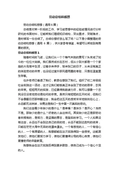 劳动总结和感想