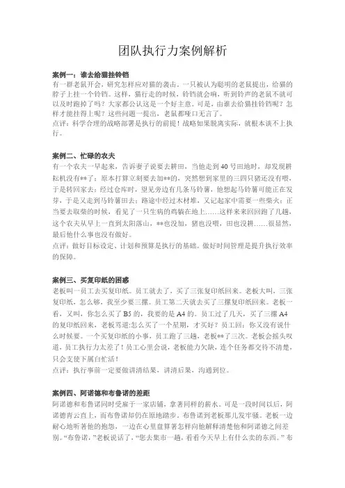 团队执行力案例解析.doc