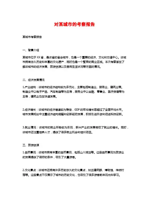 对某城市的考察报告