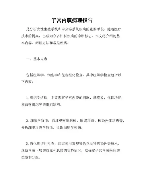 子宫内膜病理报告