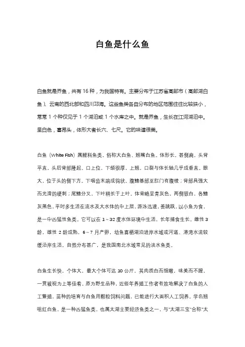 白鱼是什么鱼