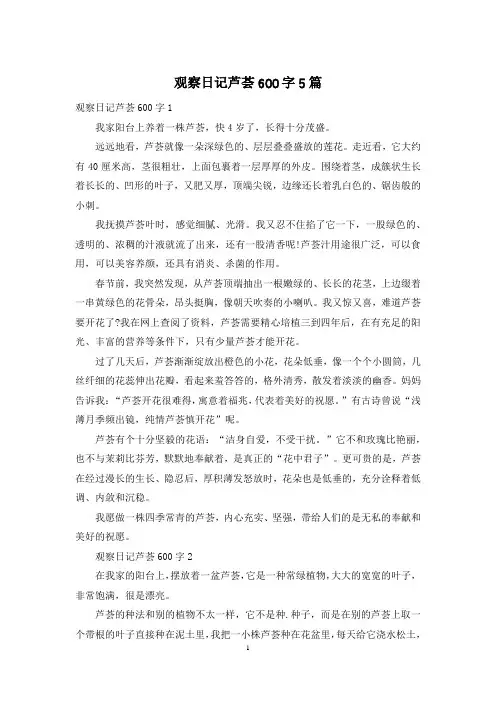 观察日记芦荟600字5篇