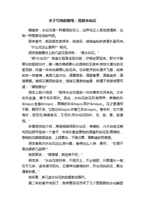 关于写物的随笔:我爱水仙花