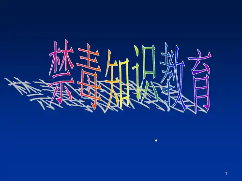 禁毒知识教育ppt课件