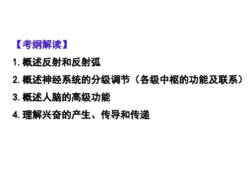 高考生物一轮复习课件通过神经系统的调节