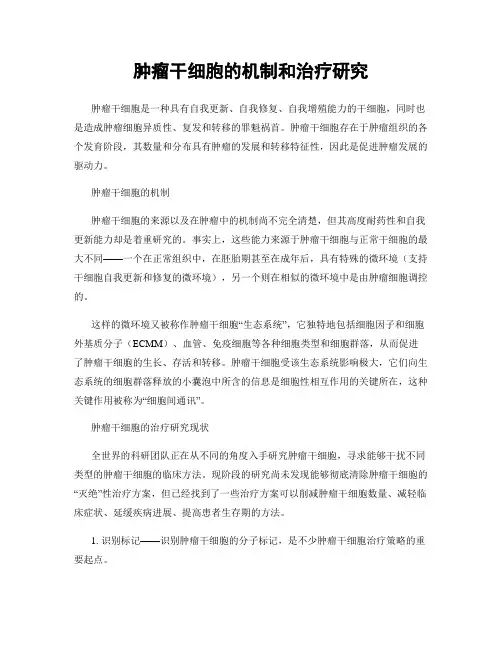 肿瘤干细胞的机制和治疗研究