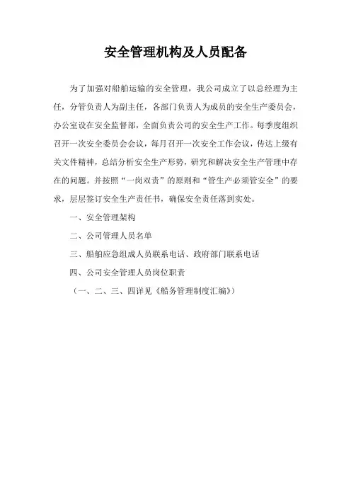 安全管理机构及人员配备