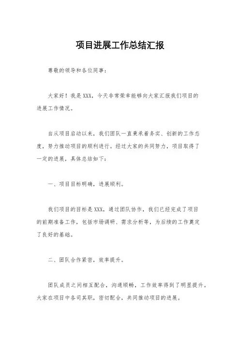 项目进展工作总结汇报