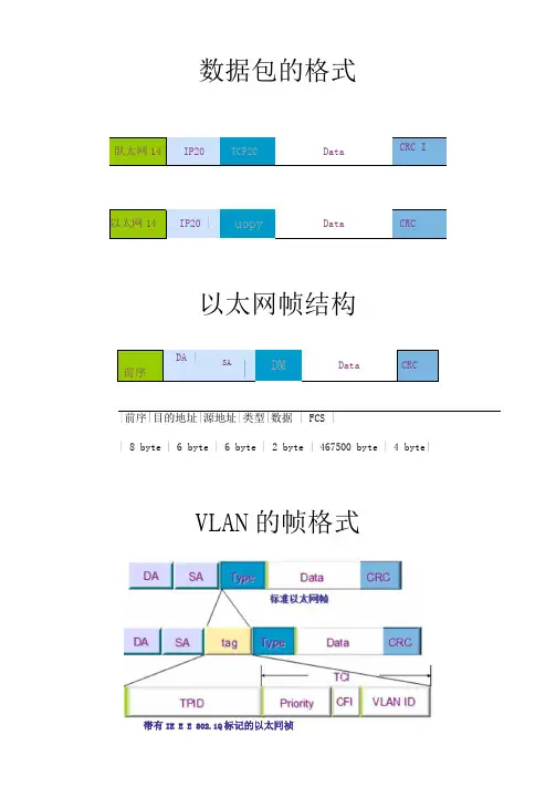 协议报文格式大全.doc