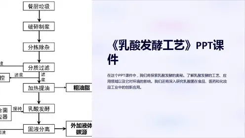 《乳酸发酵工艺》课件