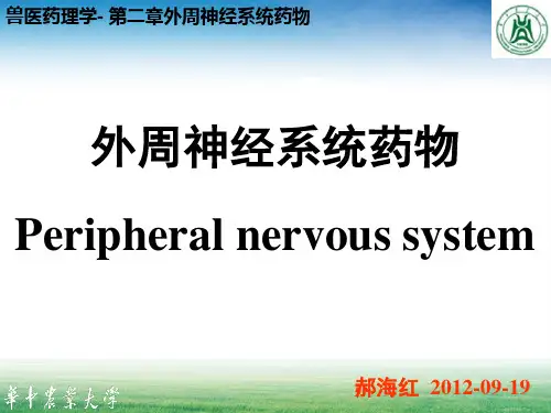 《兽医药理学》教学课件：02 第二章 外周神经系统药物
