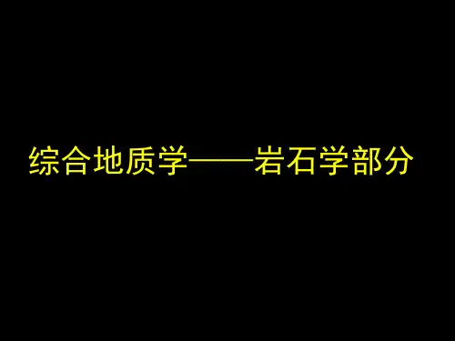 沉积岩岩石学