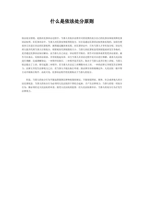 什么是依法处分原则？