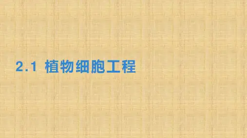【课件】植物细胞工程课件2022-2023学年高二下学期生物人教版选择性必修3