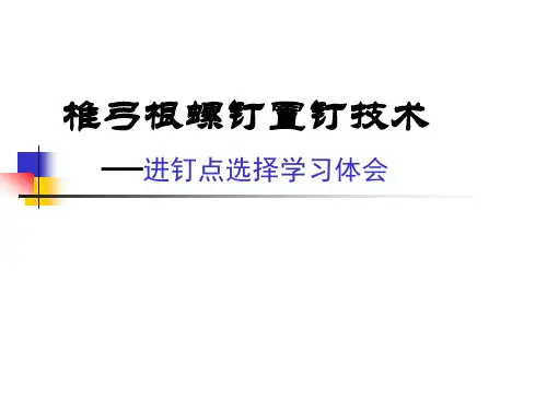 椎弓根螺钉置钉技术