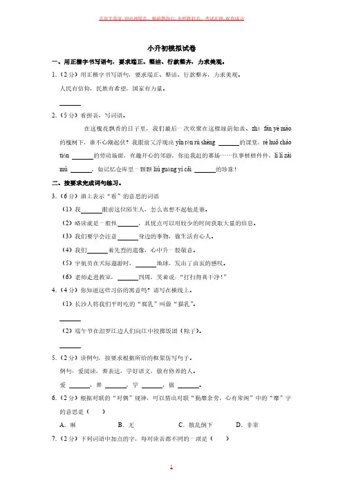 小升初语文模拟试卷  (含答案解析)