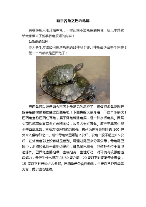 新手养龟之巴西龟篇