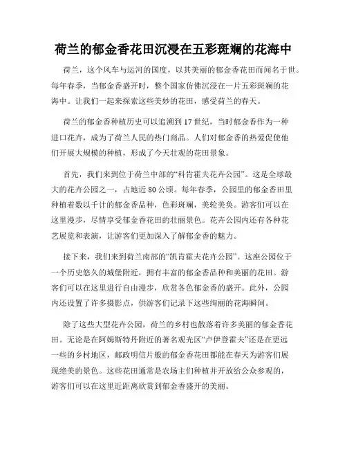 荷兰的郁金香花田沉浸在五彩斑斓的花海中