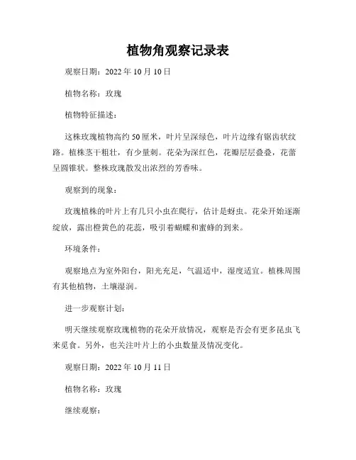植物角观察记录表