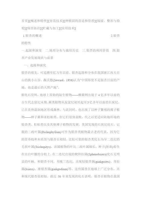 银杏树资料