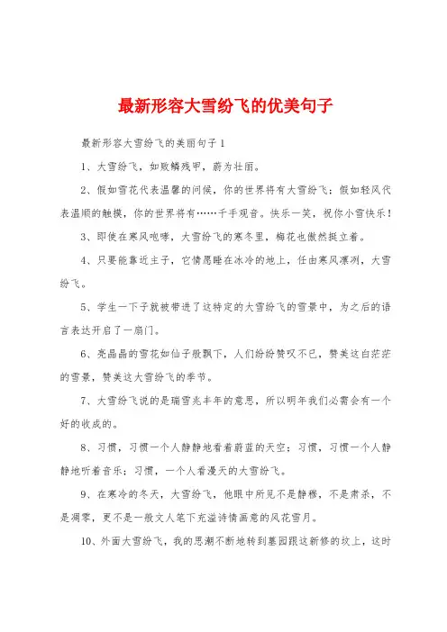 最新形容大雪纷飞的优美句子