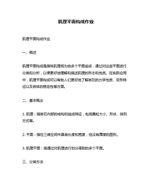 肌理平面构成作业