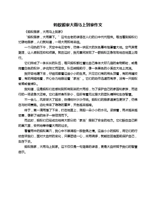 蚂蚁搬家大雨马上到家作文