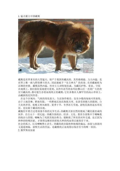 世界名犬大全