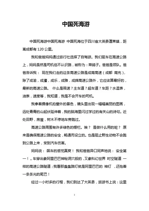 中国死海游