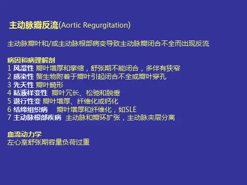 心脏超声课件：主动脉瓣反流