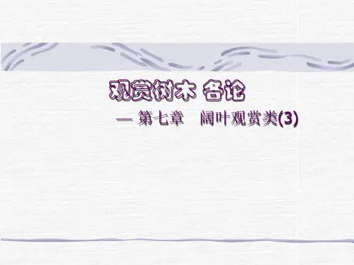 园林树木学课件——第七章3(豆科-椴树科)