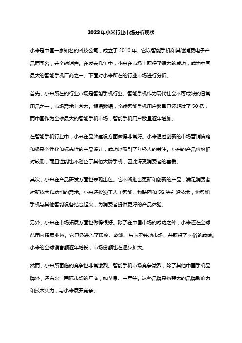 2023年小米行业市场分析现状