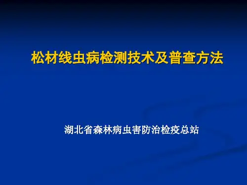 松材线虫病检测技术及普查方法ppt模板