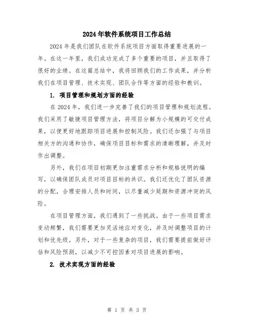 2024年软件系统项目工作总结