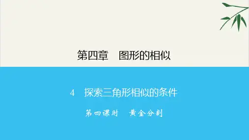 4.4黄金分割北师大版九年级数学上册习题PPT课件