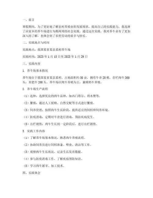 养牛寒假社会实践报告
